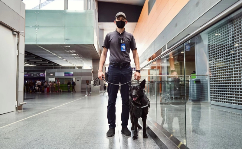 Cdo Securite Boite De Securite Pugnac Agent De Securite Conducteur Canin Dintervention 2 1 Cdo Securite Boite De Securite Pugnac Agent De Securite Conducteur Canin Dintervention 2 1