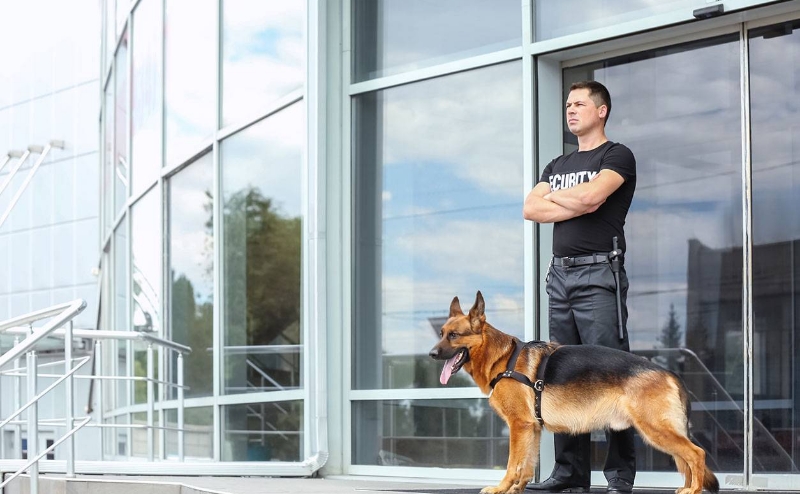 Cdo Securite Boite De Securite Pugnac Agent De Securite Conducteur Canin Dintervention 3 Cdo Securite Boite De Securite Pugnac Agent De Securite Conducteur Canin Dintervention 3